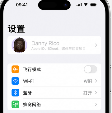 仁怀appleID维修服务iPhone设置中Apple ID显示为灰色无法使用