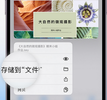 仁怀apple维修中心分享iPhone文件应用中存储和找到下载文件