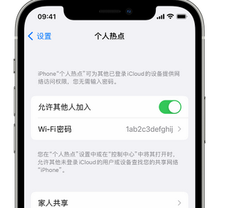 仁怀apple服务站点分享iPhone上个人热点丢失了怎么办