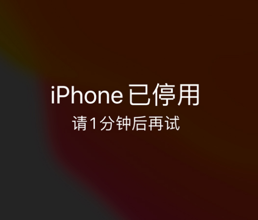 仁怀苹果手机维修分享:iPhone 显示“不可用”或“已停用”怎么办？还能保留数据吗？ 