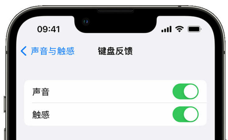 仁怀苹果手机维修分享iPhone 14触感键盘使用方法 