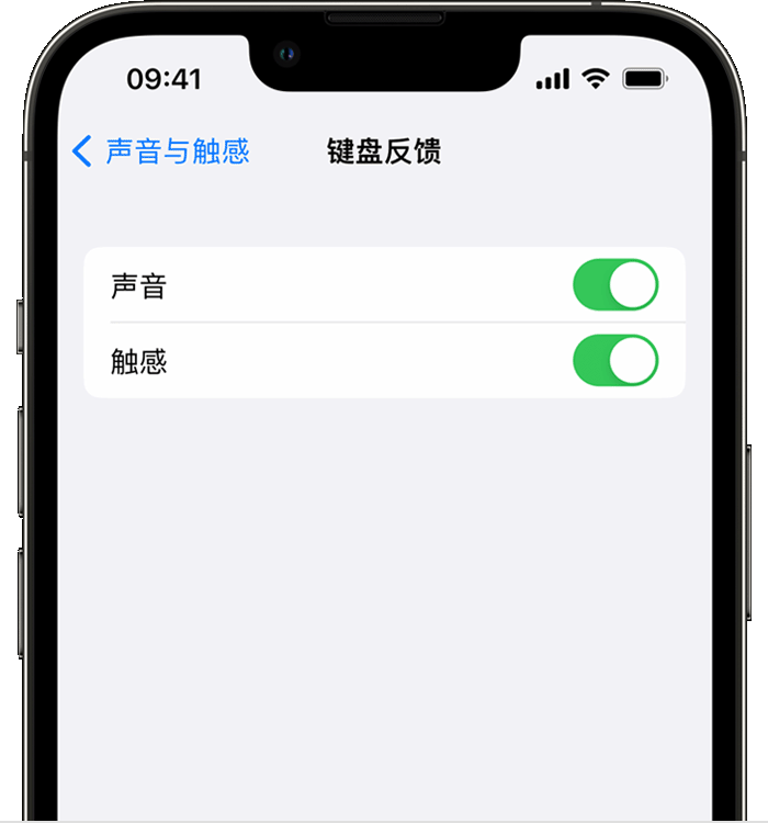 仁怀苹果14维修店分享如何在 iPhone 14 机型中使用触感键盘 