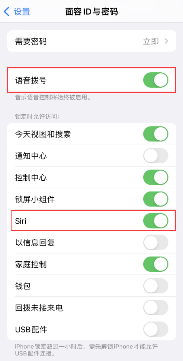 仁怀苹果维修网点分享不解锁 iPhone 的情况下通过 Siri 拨打电话的方法 