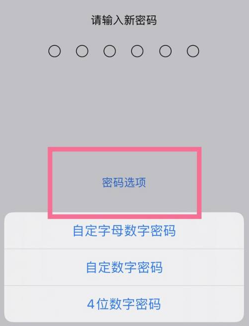 仁怀苹果14维修分享iPhone 14plus设置密码的方法 